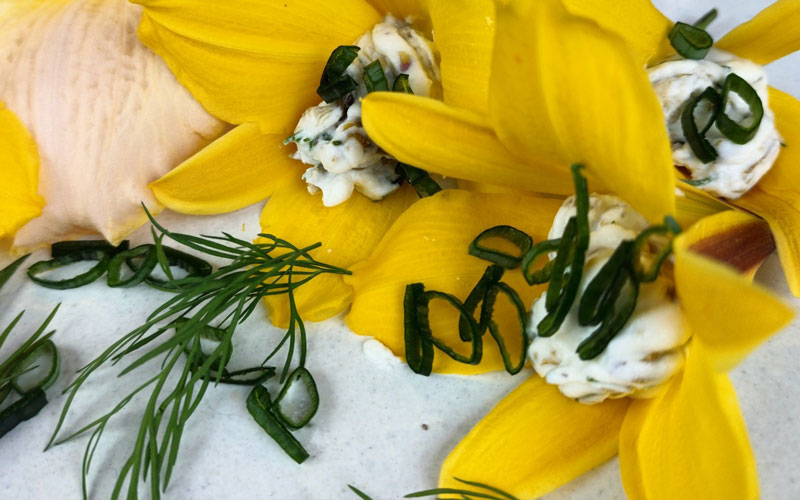 Qui est Marie-Pierre Benoit naturopathe