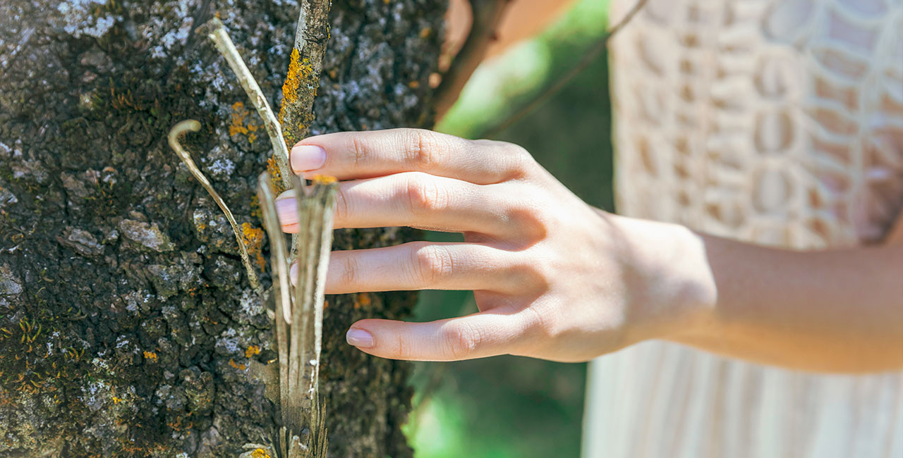 Naturopathie Médecine Naturelle Chimay